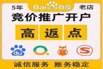 SEM推广公司案例：打造高效营销体系